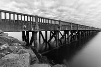 La jetée dans l'immobilité