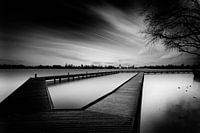 Rotterdam, Walk into the park 2