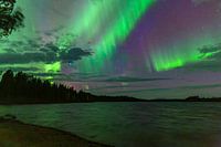 Aurores boréales magiques au-dessus du lac près de la cabane des myrtilles en Suède