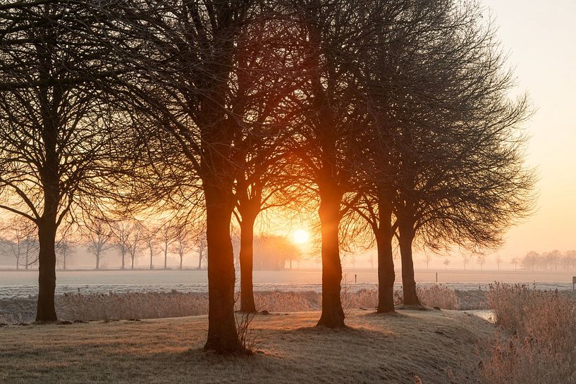 Wintermorgen in Ter Horst - Reif, Nebel und aufgehende Sonne von KB Design & Photography (Karen Brouwer)
