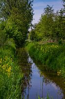 View into the Aalkeet Buitenpolder