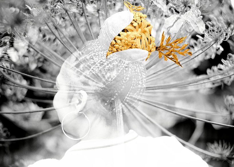 Die Herstellbarkeit von Licht von True Color Stories