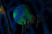 Concept natuur : Hekserij