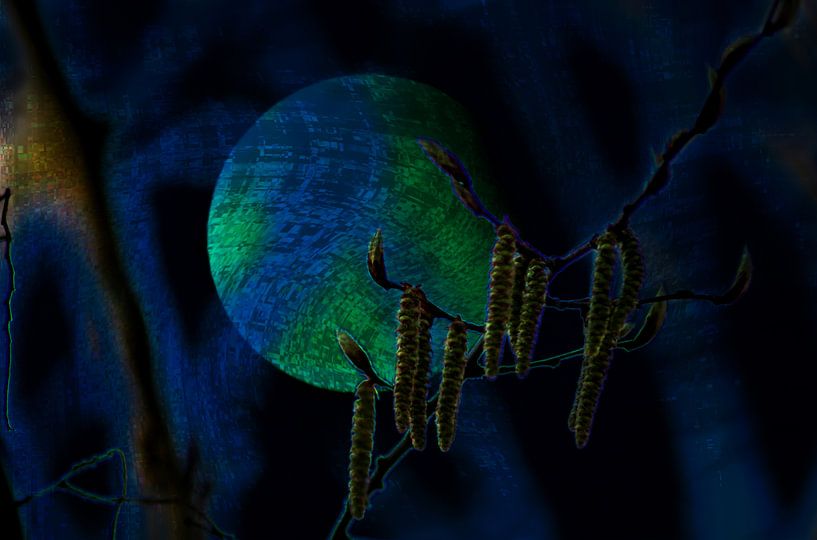 Concept nature : Sorcellerie par Photoart-Naegele