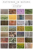 Poster von Mustern in der Natur