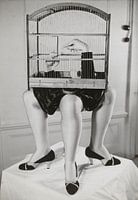 Füttere den Vogel, 1938