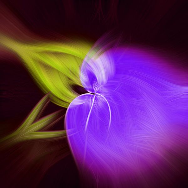 Fleur de lumière. Art abstrait géométrique coloré en violet et jaune. par Dina Dankers