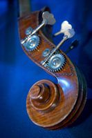 Musical instrument cello