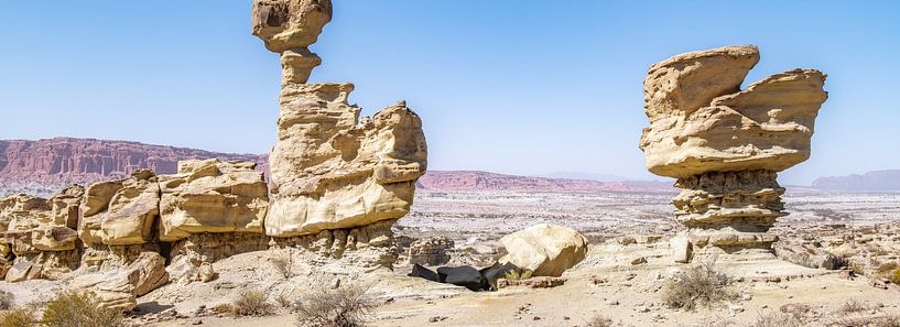 Rock formations in Ischigualasto Argentina. by Ron van der Stappen