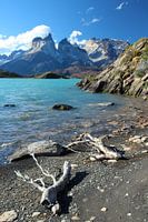 Torres del Paine Nationalpark in Chile mit azurblauem Wasser und Ästen im Vordergrund