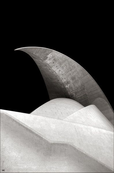 Der Zahn eines Hais... von Hans Kool