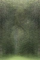 Forêt d'entrée cachée