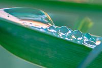 Water fixed mouvement