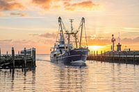 Cutter comes Texel harbor in during sunrise ..