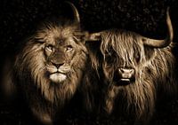 The lion and the Scottish Highlander
