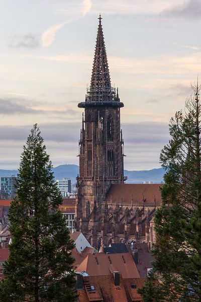 Germany, Ancient minster of Freiburg im Breisgau between trees by adventure-photos