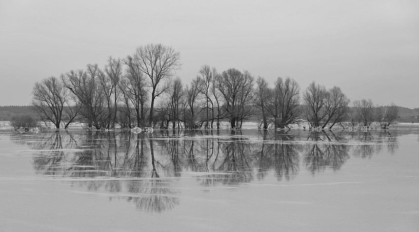 Hochgefrorenes Wasser in der Betuwe in Schwarz und Weiß. von Jose Lok