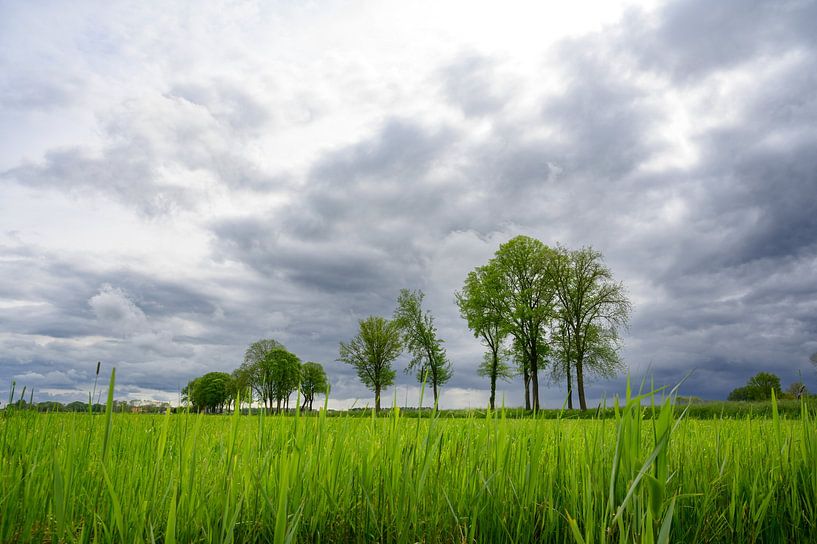 Gewitterwolken über einer Frühlingswiese von Sjoerd van der Wal Fotografie
