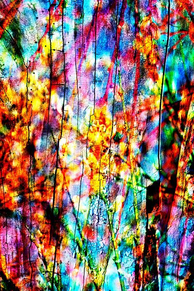 Symphony of spring colours by Silva Wischeropp