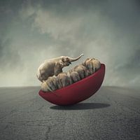 La vie est un équilibre