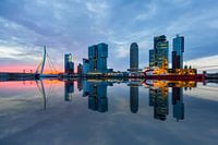 Rotterdam an der Nieuwe Maas, mit der Erasmusbrücke (Niederlande)