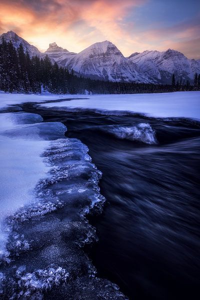 Ein Wintersonnenaufgang in den Rocky Mountains von Daniel Gastager