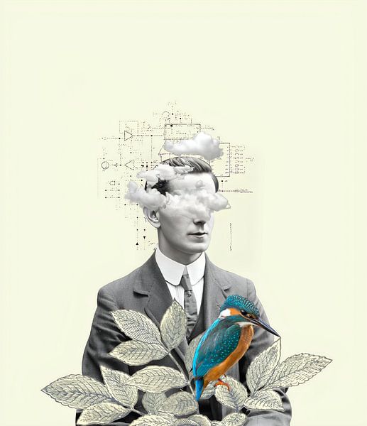 Overload van collagesdemarie