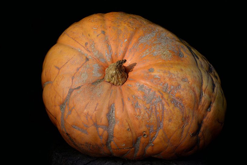 Large pumpkin by Ulrike Leone