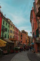 Belle rue avec des maisons colorées à Manarola, Cinque Terre, Italie