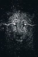 Panther schwarz-weiß