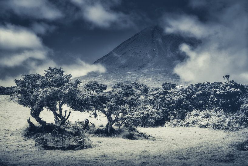 Atmosphère sombre par Alexander Dorn