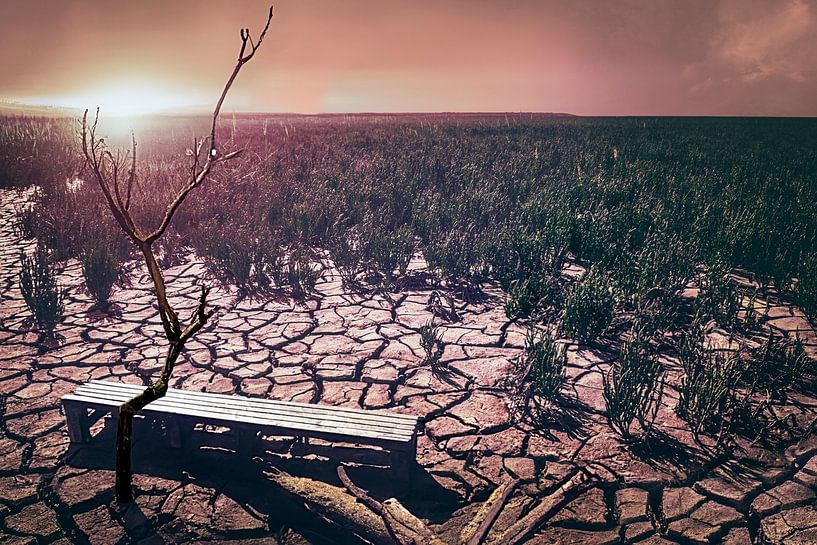 Dévastation et résilience : un arbre solitaire dans un paysage desséché comme symbole de lutte par Elianne van Turennout