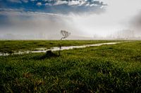 Après la pluie vient le soleil