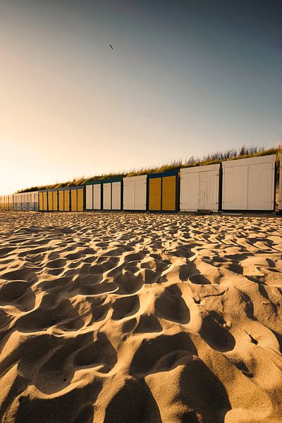 Summer Days par Thom Brouwer