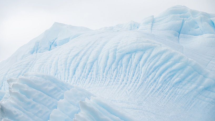 Sculptures de glace de la nature par Koen Hoekemeijer