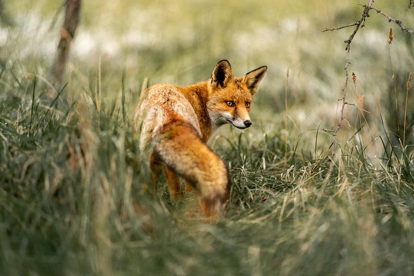 Un dernier moment par Nicole Schmidt