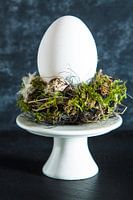 Blanc d'oeuf dans un nid servi sur etagere