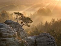 Sunrise in Saxon Switzerland
