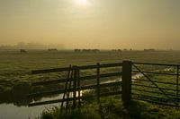 A foggy November morning in the Dutch polder