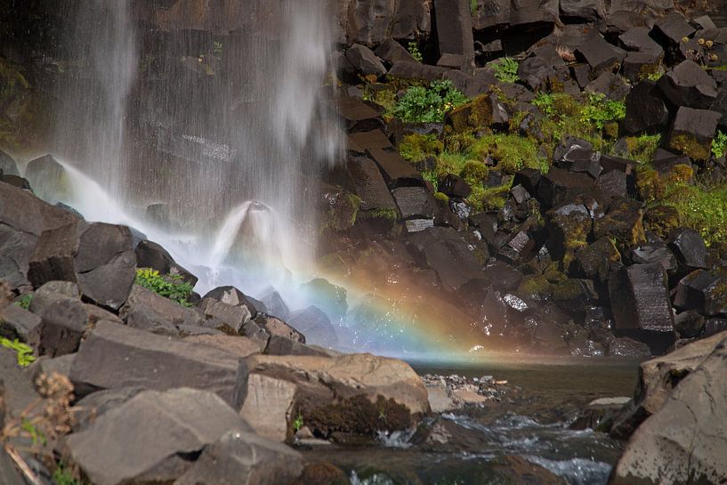 Svartifoss waterfall Iceland by Menno Schaefer