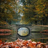 Spiegelung einer Brücke im Herbst