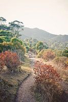 Wanderweg auf Korsika