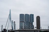 Skyline von Rotterdam