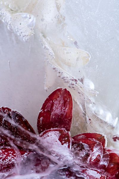 Eternal Silence by Gerry van Roosmalen