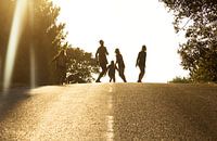 Les longboarders sous le soleil du soir