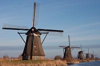 De molens van Kinderdijk