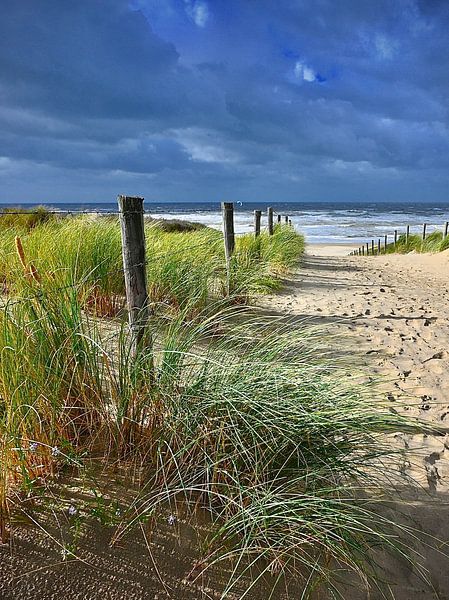 Beach Katwijk aan Zee by Peter van Rijn