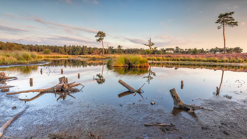 Hatertse and Overasselt Fens by Cor de Bruijn Photography