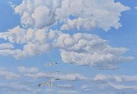 Sommerhimmel mit Möwen