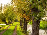 beautiful walking path through the polder in Krimpenerwaard